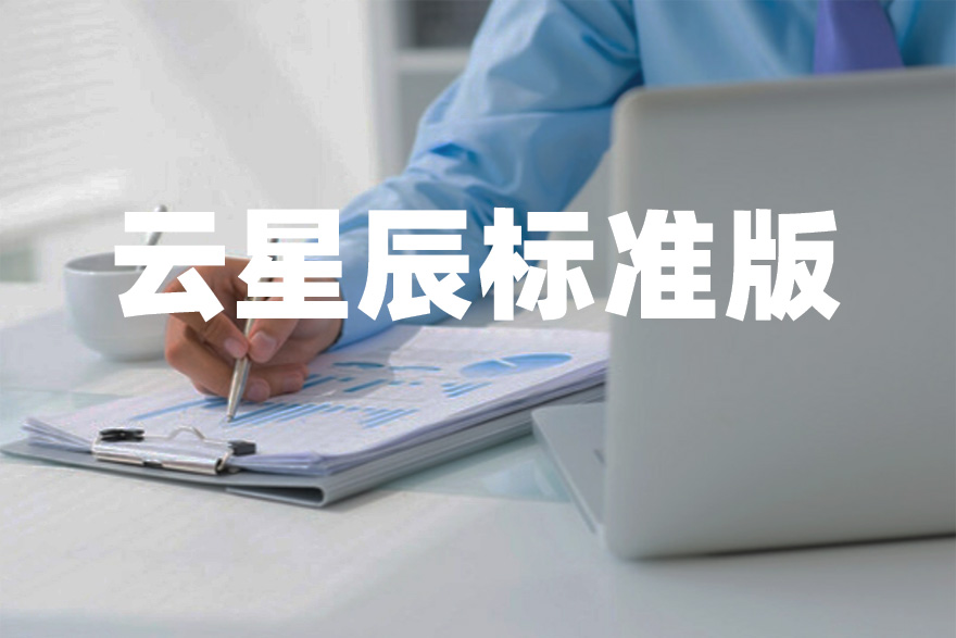 金蝶云星辰标准版 财务进销存 税务生产零售一体化 记账做账软件